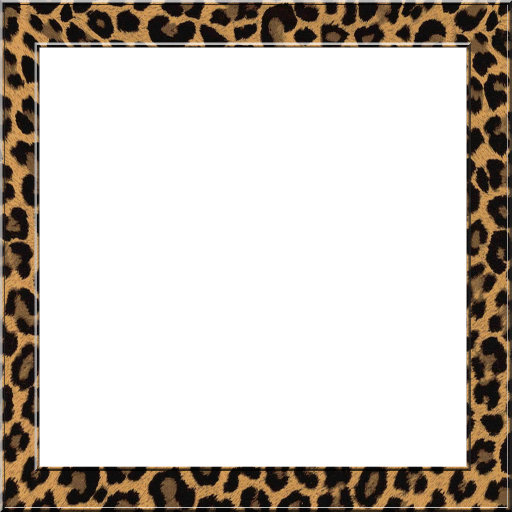 Cadre .Png / Collection of PNG Frames For Pictures. | PlusPNG
